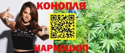 дмт Будённовск