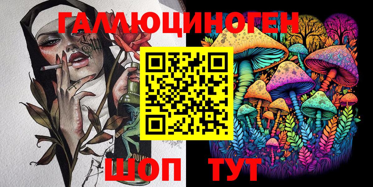 Кудымкар  дарнет шоп  Вход с VPN  Псилоцибиновые грибы Psilocybe 