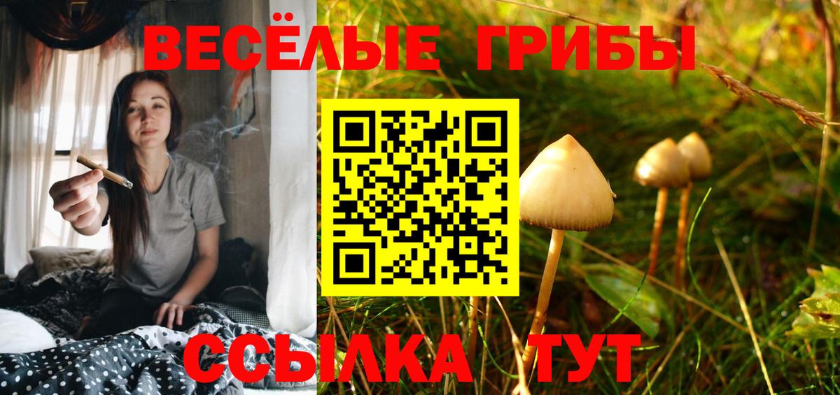 Псилоцибиновые грибы мицелий Кудымкар
